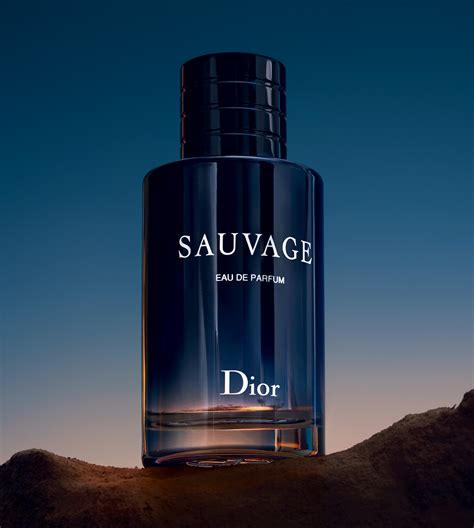 christian dior sauvage homme|christian dior sauvage for women.